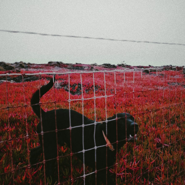Processed with VSCO with p5 preset