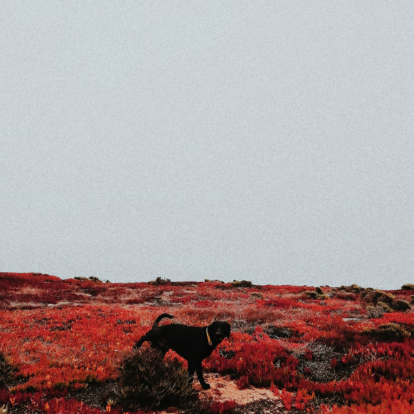 Processed with VSCO with m5 preset